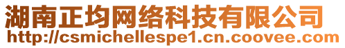 湖南正均網絡科技有限公司