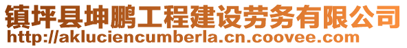 鎮(zhèn)坪縣坤鵬工程建設(shè)勞務(wù)有限公司