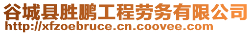 谷城縣勝鵬工程勞務(wù)有限公司