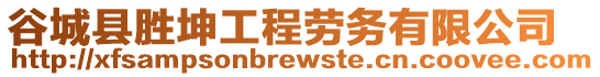 谷城縣勝坤工程勞務(wù)有限公司