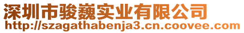 深圳市駿巍實業有限公司