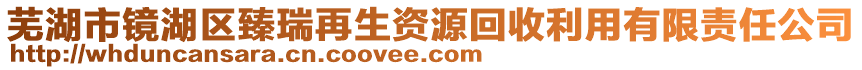 蕪湖市鏡湖區(qū)臻瑞再生資源回收利用有限責(zé)任公司