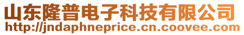 山東隆普電子科技有限公司