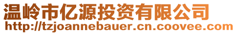 溫嶺市億源投資有限公司