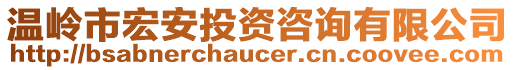 溫嶺市宏安投資咨詢有限公司