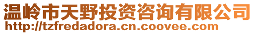 溫嶺市天野投資咨詢有限公司