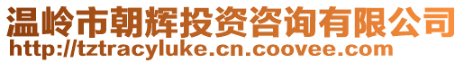 溫嶺市朝輝投資咨詢(xún)有限公司