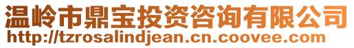 溫嶺市鼎寶投資咨詢有限公司