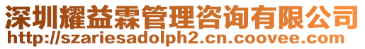 深圳耀益霖管理咨詢有限公司