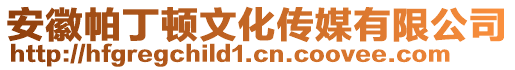 安徽帕丁頓文化傳媒有限公司