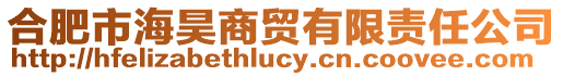 合肥市海昊商貿有限責任公司