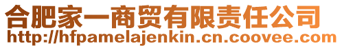 合肥家一商貿有限責任公司