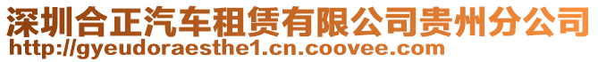 深圳合正汽車租賃有限公司貴州分公司