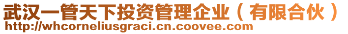 武漢一管天下投資管理企業(yè)（有限合伙）