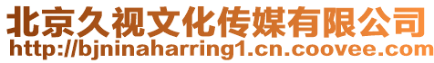 北京久視文化傳媒有限公司
