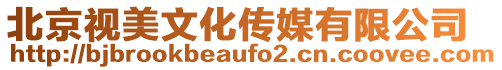 北京視美文化傳媒有限公司