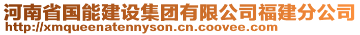 河南省國(guó)能建設(shè)集團(tuán)有限公司福建分公司