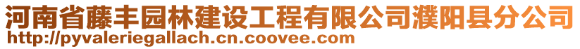 河南省藤豐園林建設(shè)工程有限公司濮陽縣分公司