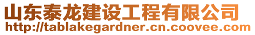 山東泰龍建設工程有限公司