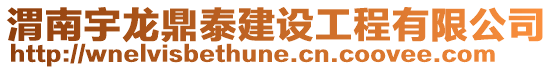 渭南宇龍鼎泰建設工程有限公司
