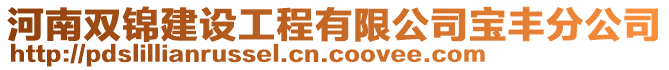 河南雙錦建設(shè)工程有限公司寶豐分公司