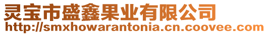 靈寶市盛鑫果業有限公司