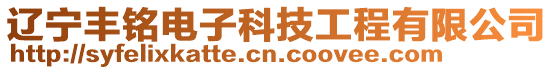 遼寧豐銘電子科技工程有限公司