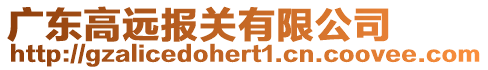 廣東高遠(yuǎn)報關(guān)有限公司