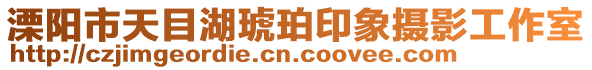 溧陽市天目湖琥珀印象攝影工作室