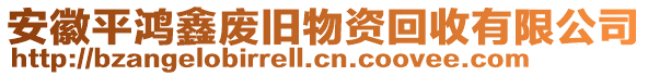 安徽平鴻鑫廢舊物資回收有限公司