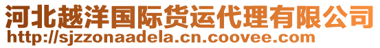 河北越洋國際貨運代理有限公司