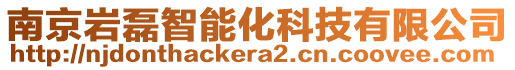 南京巖磊智能化科技有限公司