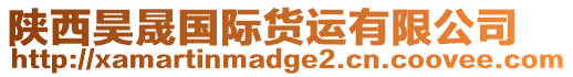 陜西昊晟國(guó)際貨運(yùn)有限公司