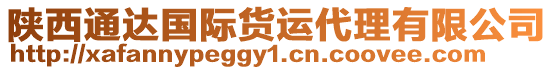 陜西通達(dá)國(guó)際貨運(yùn)代理有限公司