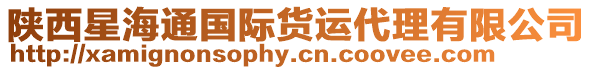 陜西星海通國際貨運代理有限公司