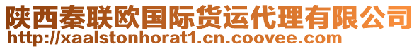 陜西秦聯(lián)歐國際貨運代理有限公司