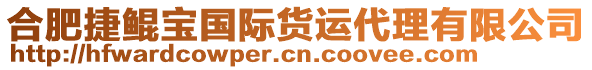 合肥捷鯤寶國際貨運(yùn)代理有限公司