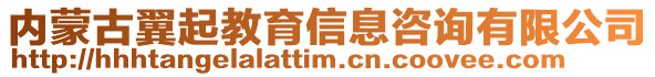 內蒙古翼起教育信息咨詢有限公司