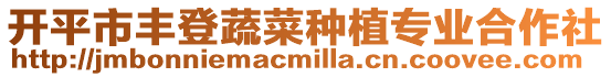 開平市豐登蔬菜種植專業合作社