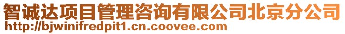智誠達項目管理咨詢有限公司北京分公司