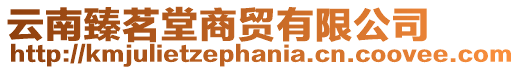 云南臻茗堂商貿(mào)有限公司