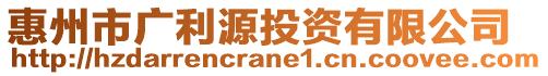 惠州市廣利源投資有限公司