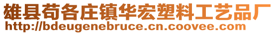 雄縣茍各莊鎮(zhèn)華宏塑料工藝品廠