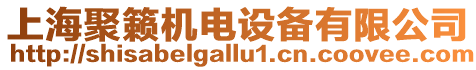 上海聚籟機電設(shè)備有限公司