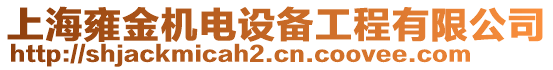 上海雍金機(jī)電設(shè)備工程有限公司