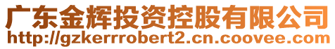廣東金輝投資控股有限公司