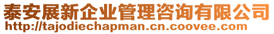 泰安展新企業(yè)管理咨詢有限公司