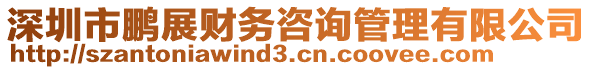 深圳市鵬展財(cái)務(wù)咨詢管理有限公司