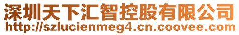 深圳天下匯智控股有限公司
