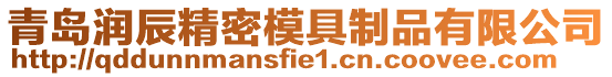 青島潤(rùn)辰精密模具制品有限公司